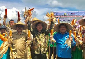 Kang Hero Panen Jagung dan Temu Lapang Pertanian Konservasi di Lombok Timur