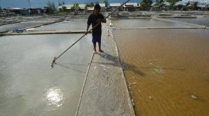 Cegah Kelangkaan, Asosiasi Minta Pemerintah Bantu Petani Garam