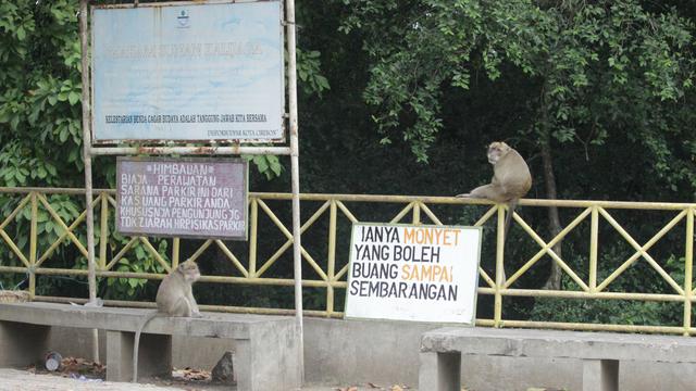 Taman Kera Kalijaga Cirebon - Foto liputan6