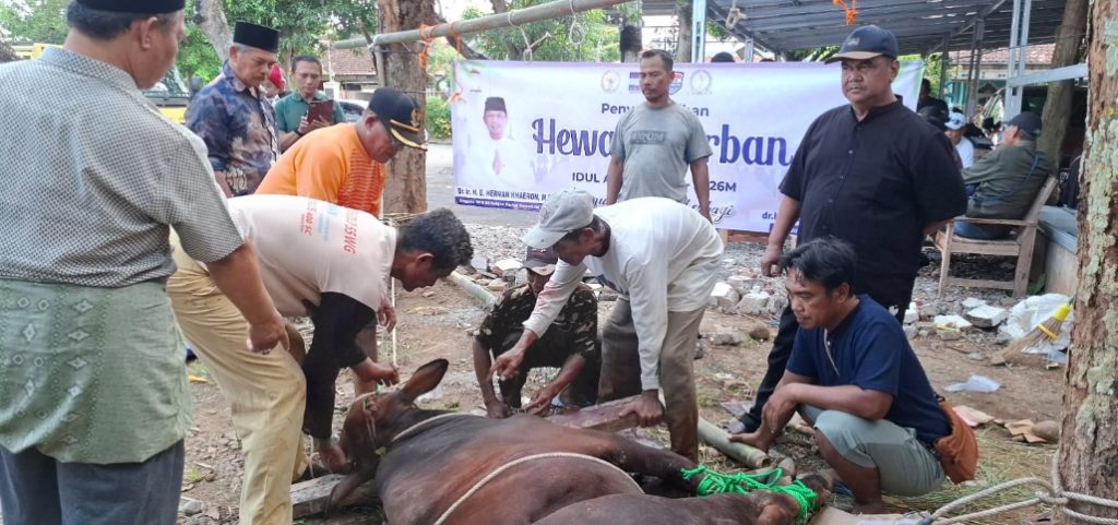 Website Herman Khaeron - Kang Hero (Anggota DPR RI Fraksi Demokrat), Herman Khaeron dan Ratnawati Salurkan Hewan Kurban untuk Warga Pasaleman