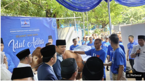Demokrat Berkurban 63 Sapi di Idul Adha, Ada Punya SBY dan AHY